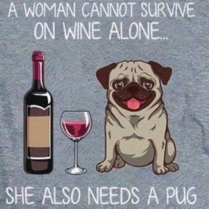 Meet your Posher, Anissa